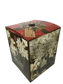 Ziva Paperwhite Bulbs in an Elegant Box, 3 Bulbs with a Plastic Planting Pot, and a Professional Gro