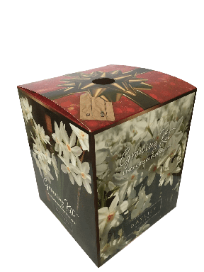 Ziva Paperwhite Bulbs in an Elegant Box, 3 Bulbs with a Plastic Planting Pot, and a Professional Gro