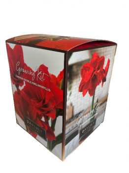 Holiday Gifts