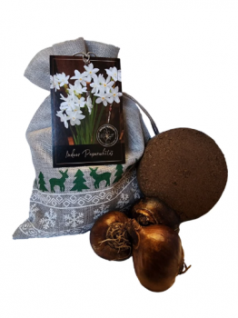 Paperwhite Ziva Holiday Gift Growing Kit, Includes a Silver Gift Bag, 5 Paperwhite Bulbs, and Profes