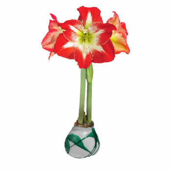 Minerva Flower White Wax Green Wax Splatter Base 36cm+