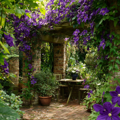 Clematis ‘The President’ in a 4″ pot– You Choose Amount!!!