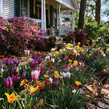20 Deer Resistant Tulips Bulbs-Wildflower Mixture